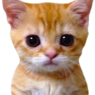 Fenoxz