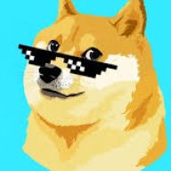 HankThePooch