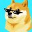 HankThePooch